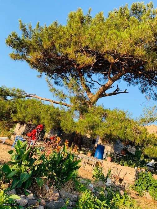 Αγροτεμάχια 268.000 τ.μ. πρός πώληση, Ν. Λέσβου, Λέσβος - Ερεσός
