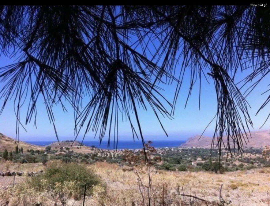 Αγροτεμάχια 268.000 τ.μ. πρός πώληση, Ν. Λέσβου, Λέσβος - Ερεσός