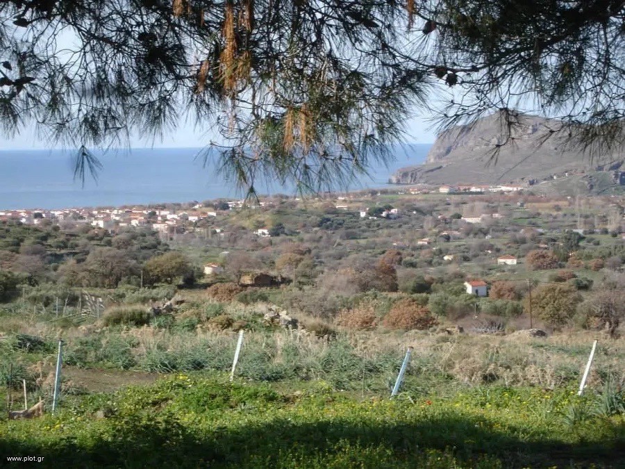 Αγροτεμάχια 268.000 τ.μ. πρός πώληση, Ν. Λέσβου, Λέσβος - Ερεσός
