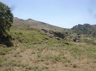 Αγροτεμάχια 268.000 τ.μ. για πώληση, Ν. Λέσβου, Λέσβος - Ερεσός-thumb-7