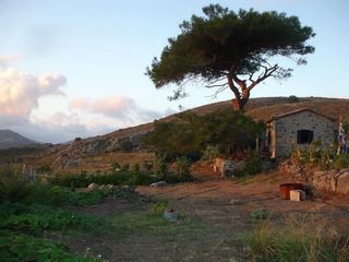 Αγροτεμάχια 268.000 τ.μ. για πώληση, Ν. Λέσβου, Λέσβος - Ερεσός-thumb-10