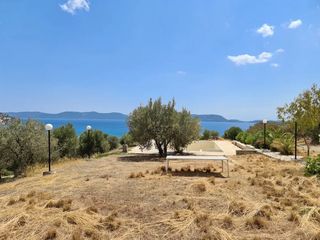 Ξενοδοχείο 700 τ.μ. προς πώληση, Αχλαδίτσα-thumb-4
