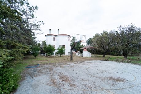 Μονοκατοικία 300τ.μ. για ενοικίαση-Λάρισα » Βόλου