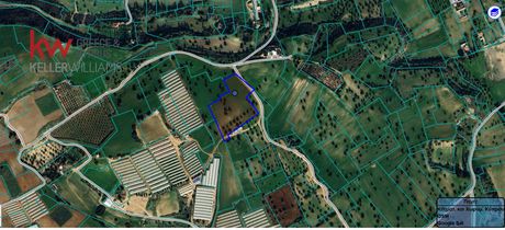 Αγροτεμάχια 13.379τ.μ. για πώληση-Μαζωτός