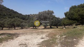 Οικόπεδο 2.100 τ.μ. για πώληση