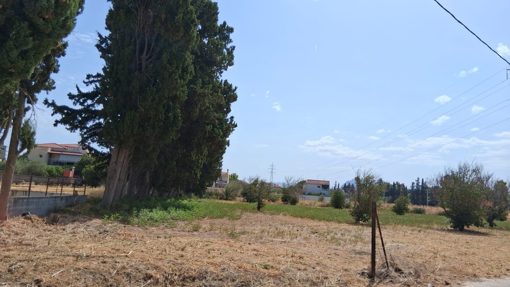 Οικόπεδο 1.536 τ.μ. προς πώληση, Βραχάτι
