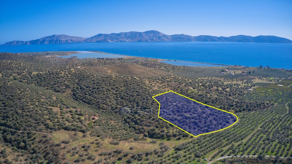 Αγροτεμάχια 17.041 τ.μ. πρός πώληση, Αργολίδα, Ερμιόνη