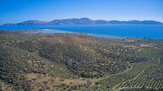 Αγροτεμάχια 17.041 τ.μ. για πώληση
