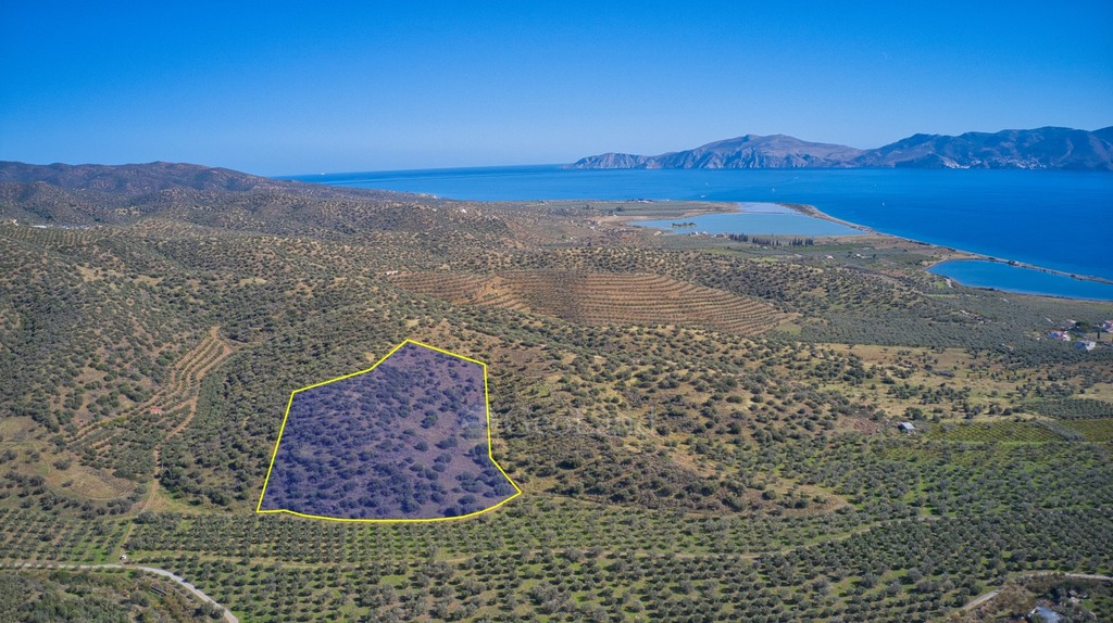 Αγροτεμάχια 17.041 τ.μ. πρός πώληση, Αργολίδα, Ερμιόνη