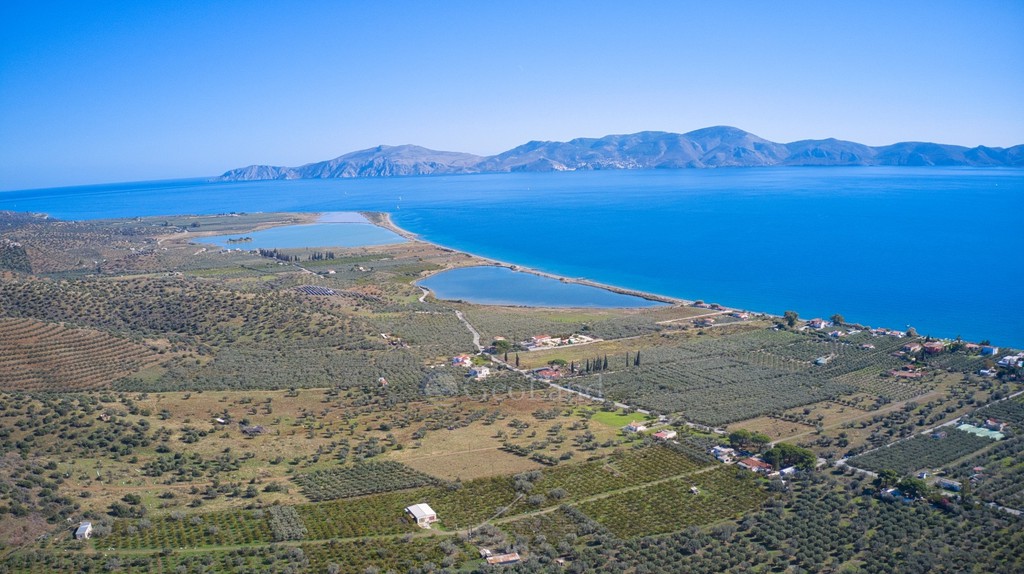 Αγροτεμάχια 17.041 τ.μ. πρός πώληση, Αργολίδα, Ερμιόνη