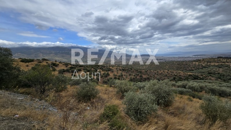 Αγροτεμάχια 4.330 τ.μ. προς πώληση, Μελισσάτικα