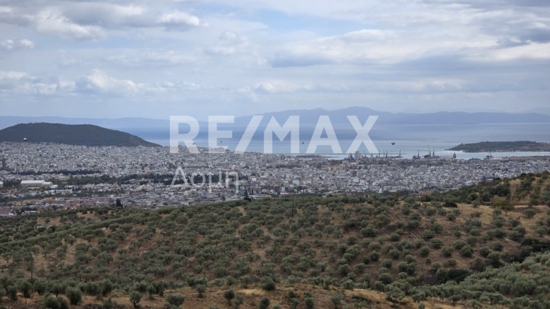 Αγροτεμάχια 4.330 τ.μ. προς πώληση, Μελισσάτικα