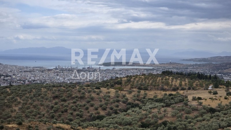 Αγροτεμάχια 4.330 τ.μ. προς πώληση, Μελισσάτικα