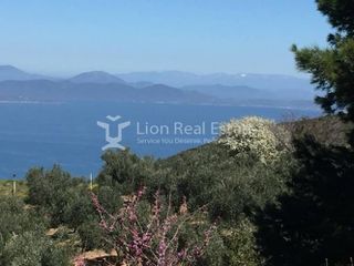 Βίλλα 340 τ.μ. για πώληση, Φθιώτιδας, Δαφνούσες-thumb-7