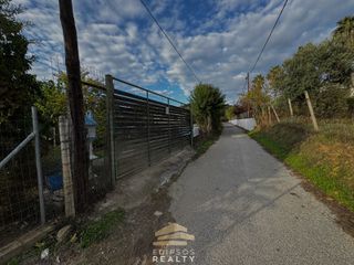 Αγροτεμάχια 723 τ.μ. για πώληση, Εύβοια, Αιδηψός-thumb-5