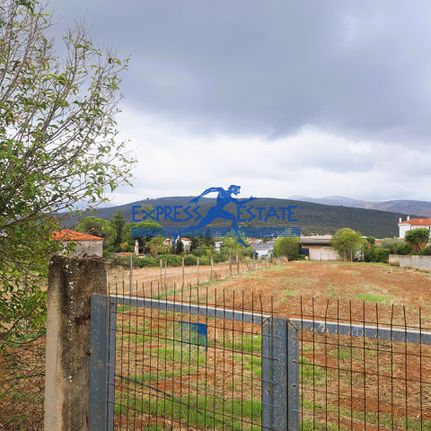 Parcel 2.500 sqm for rent, Athens - East, Marathonas