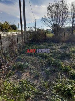 Land plot 925sqm for sale-Chalkidona » Eleousa