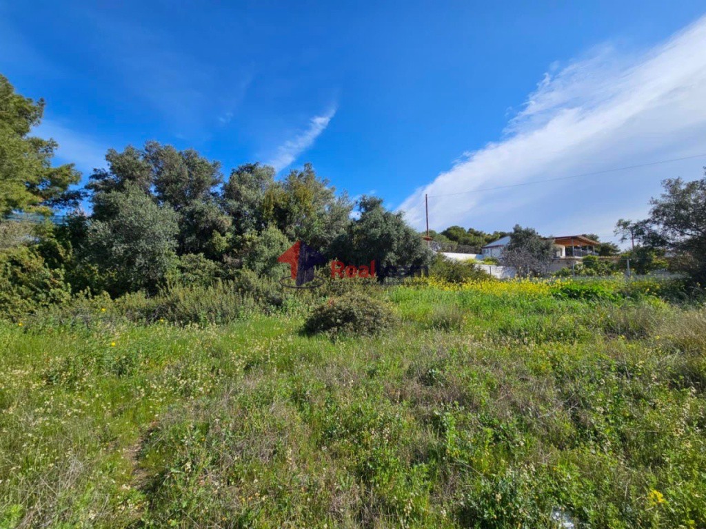 Αγροτεμάχια 552 τ.μ. προς πώληση, Γέφυρα Ισθμού
