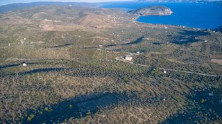 Αγροτεμάχια 8.535 τ.μ. για πώληση, Αργολίδα, Ερμιόνη-thumb-10
