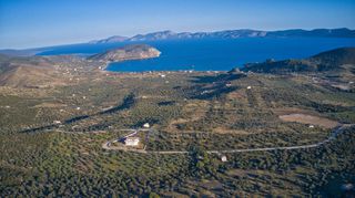 Αγροτεμάχια 8.535 τ.μ. για πώληση