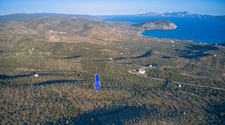 Αγροτεμάχια 8.535 τ.μ. για πώληση, Αργολίδα, Ερμιόνη-thumb-3