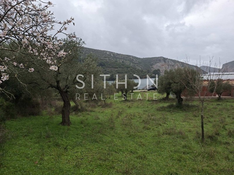 Αγροτεμάχια 469 τ.μ. προς πώληση, Κουφός Τορώνης