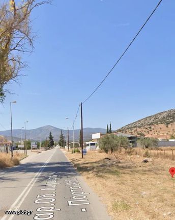 Οικόπεδο 12.000 τ.μ. για πώληση, Αργολίδα, Κρανίδι