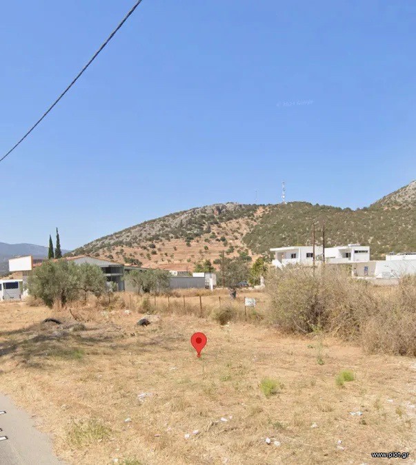 Οικόπεδο 12.000 τ.μ. προς πώληση, Βερβερούδα