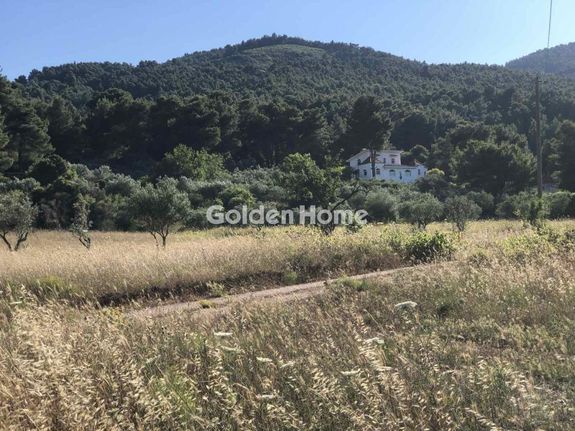 Αγροτεμάχια 4.400 τ.μ. για πώληση, Αττική - Υπόλοιπο, Αφίδνες
