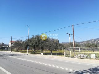 Οικόπεδο 17.000 τ.μ. για πώληση
