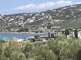 Land plot 4.000 sqm for sale
