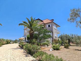 Συγκρότημα διαμερισμάτων 380 τ.μ. για πώληση, Αργολίδα, Κρανίδι-thumb-2
