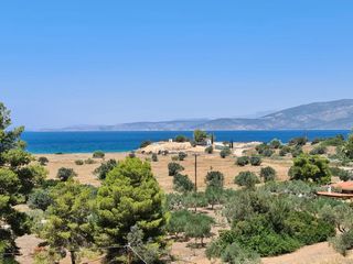 Συγκρότημα διαμερισμάτων 380 τ.μ. για πώληση, Αργολίδα, Κρανίδι-thumb-4