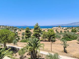 Συγκρότημα διαμερισμάτων 380 τ.μ. για πώληση, Αργολίδα, Κρανίδι-thumb-8