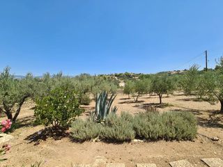 Συγκρότημα διαμερισμάτων 380 τ.μ. για πώληση, Αργολίδα, Κρανίδι-thumb-16