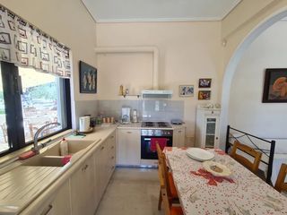 Συγκρότημα διαμερισμάτων 380 τ.μ. για πώληση, Αργολίδα, Κρανίδι-thumb-23
