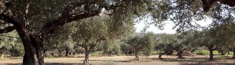 Parcel 4.100 sqm for sale