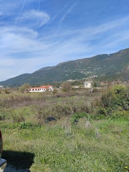 Οικόπεδο 5.500 τ.μ. προς πώληση