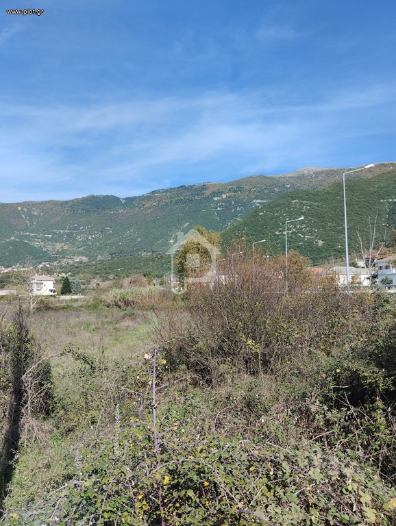 Οικόπεδο 5.500 τ.μ. προς πώληση, Λυκόστομο Περάματος