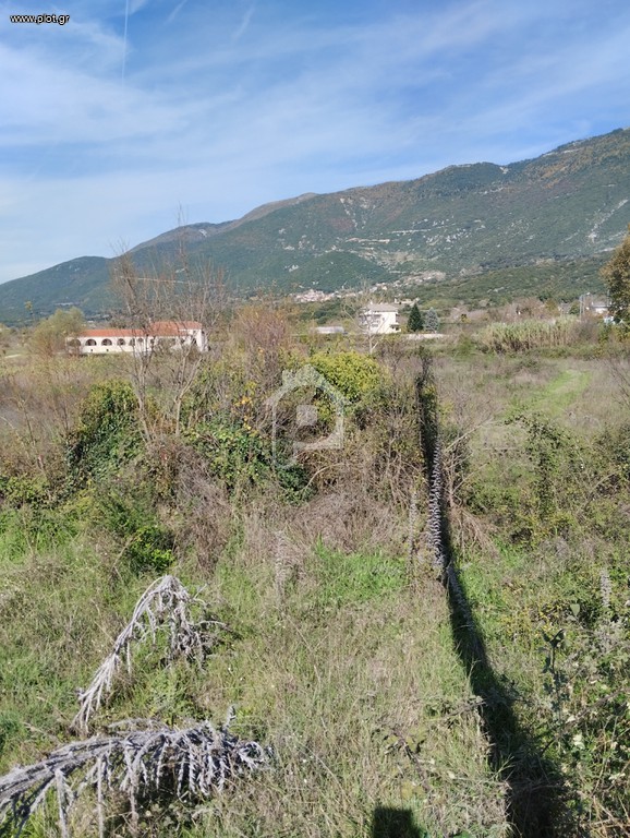 Οικόπεδο 5.500 τ.μ. προς πώληση, Λυκόστομο Περάματος