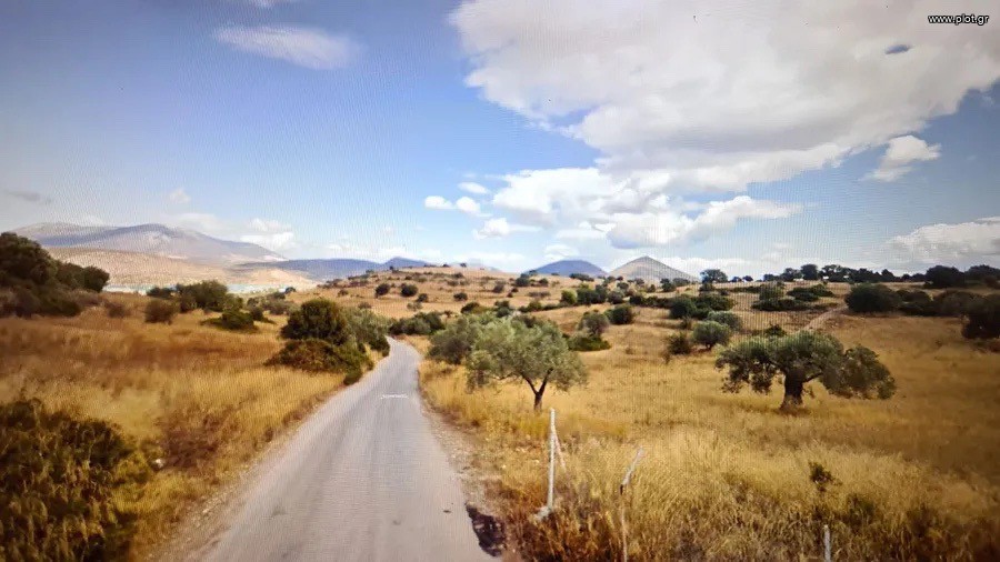 Οικόπεδο 5.000 τ.μ. για πώληση, Αργολίδα, Κρανίδι