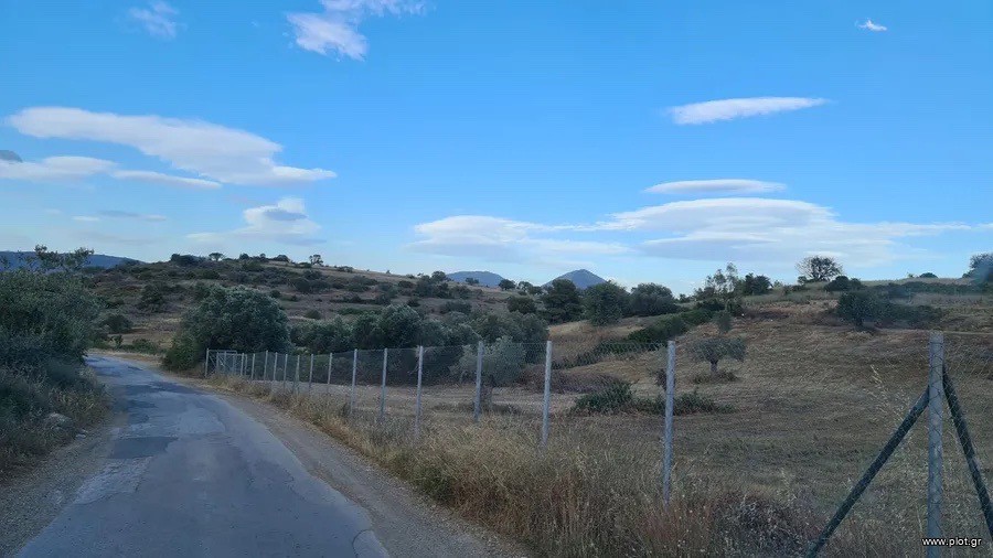 Οικόπεδο 5.000 τ.μ. προς πώληση, Αργολίδα, Κρανίδι