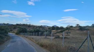 Οικόπεδο 5.000 τ.μ. για πώληση, Αργολίδα, Κρανίδι-thumb-1