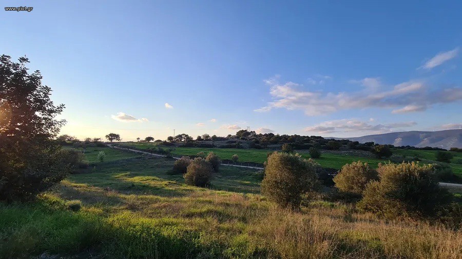 Οικόπεδο 5.000 τ.μ. προς πώληση, Αργολίδα, Κρανίδι