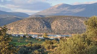 Οικόπεδο 5.000 τ.μ. για πώληση, Αργολίδα, Κρανίδι-thumb-7
