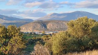 Οικόπεδο 5.000 τ.μ. για πώληση, Αργολίδα, Κρανίδι-thumb-8