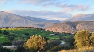 Οικόπεδο 5.000 τ.μ. για πώληση, Αργολίδα, Κρανίδι-thumb-14