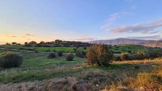 Οικόπεδο 5.000 τ.μ. για πώληση, Αργολίδα, Κρανίδι-thumb-16