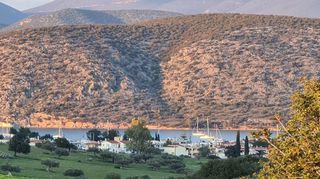 Οικόπεδο 5.000 τ.μ. για πώληση, Αργολίδα, Κρανίδι-thumb-20