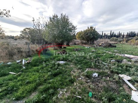 Αγροτεμάχια 730τ.μ. για ενοικίαση-Πυλαία » Mediterranean Cosmos